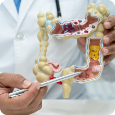 Appendix Surgery